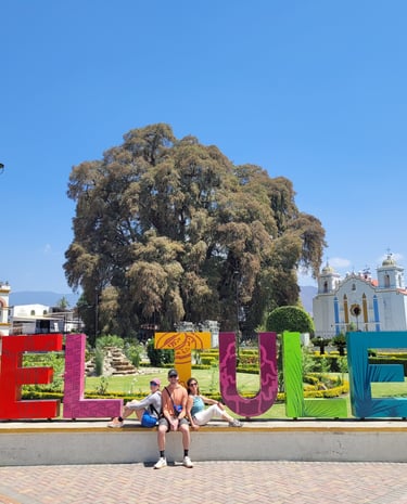 Árbol del Tule Oaxaca