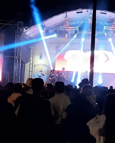 Iluminación profesional