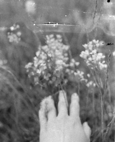 A hand gently reaching out, touching natures blossoming bounty