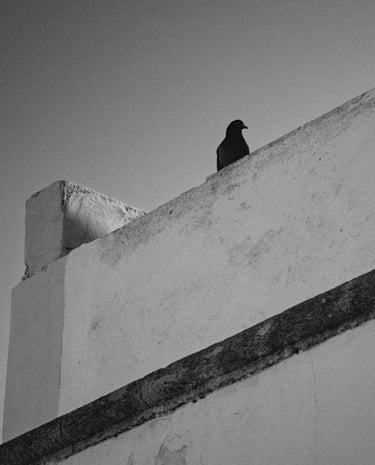 © juergen mack photography - moments