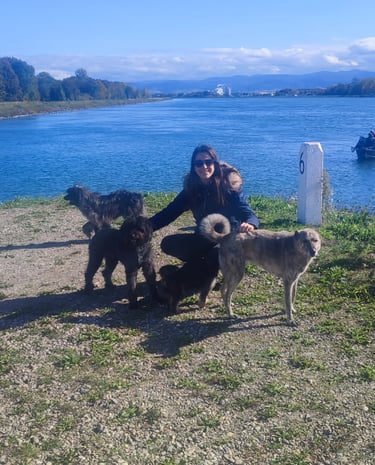 Promenade le long du Rhin