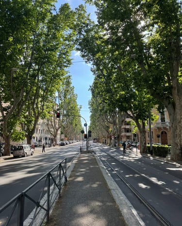 A beautifull street, full of nature in the middle of Rome