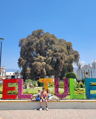 Árbol del Tule Oaxaca