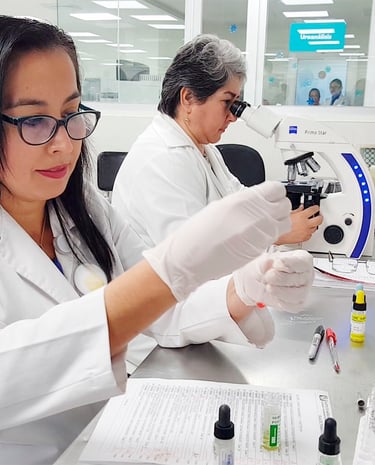 Bolsa de Trabajo IMSS Bolsa de Trabajo ISSSTE Bolsa de Trabajo DIF