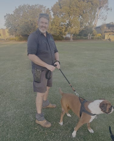 Simon - Trustworthy local