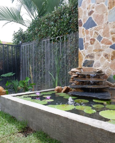 paisajismo en Cali