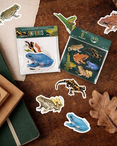 stickers anfibios ranas pack de 6