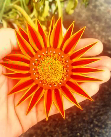 colorful daisy that is being held in the hand that symbolizes being held and supported in healing