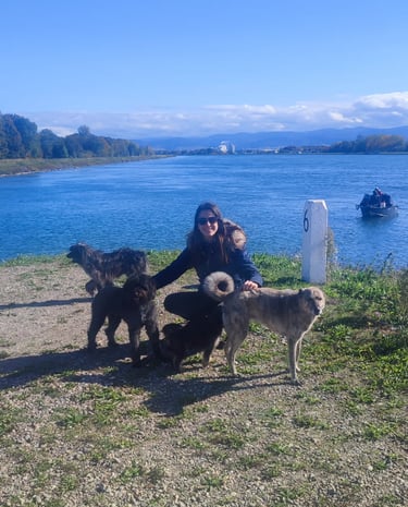 Promenade le long du Rhin