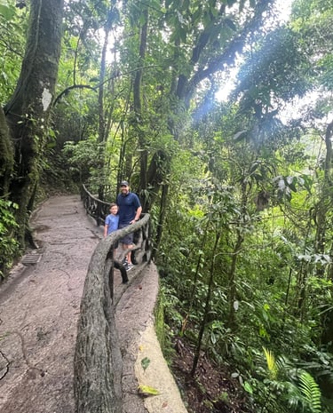 Mistico Hanging Bridges forest