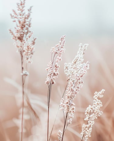 Sunlight filtering through a living landscape, evoking feeling nothing is broken only becoming whole