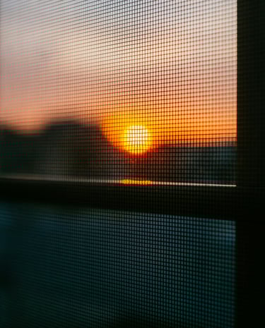 Sunset behind a window screen