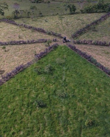Sistema de pastoreo rotacional de potreros con diseño de potrero