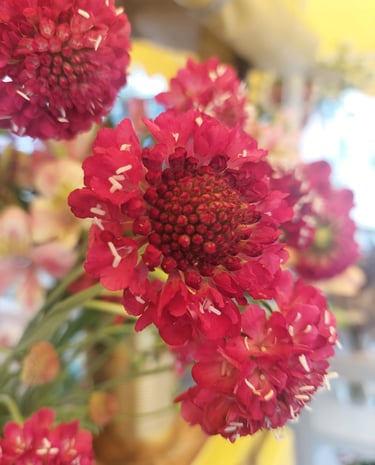 Démarche écoresponsable