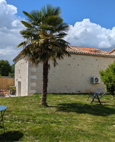 a palm tree in a backyard with a palm tree