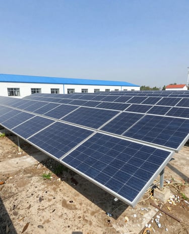 people walking on street during daytime