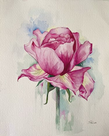 Rosa dipinta ad acquerello