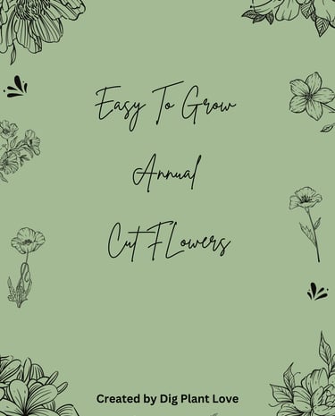 Easy to Grow Annual Cut Flower Guide