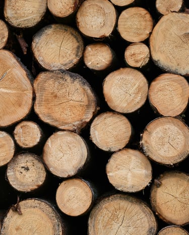 wood for pellet product