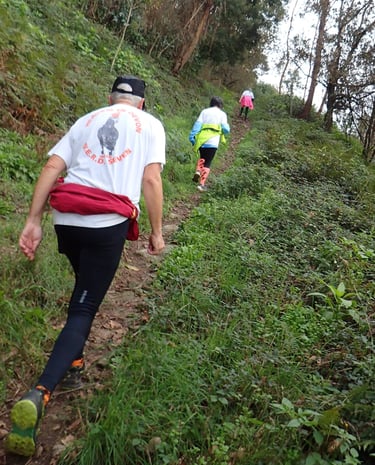 3 people climbing a grassy path