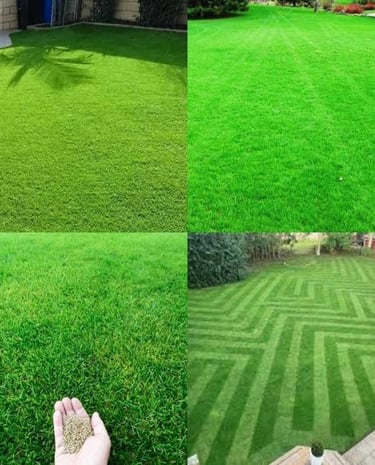 landscaping services in Vijayawada