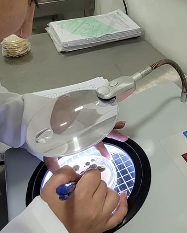 Profissionais do Laboratório AMB realizando análises laboratoriais em ambiente técnico equipado."