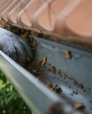 Hand cleaning gutter from debris.