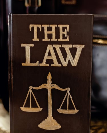 Almanya'da hukuk, Almanya'da boşanma, almanya ulusal vizesi, Turkish passport,Citizenship investment