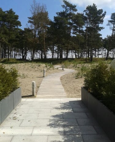 der weg von hausausgang zu strand. holzdielen führen durch die dünenlandschaft zum kiefernwäldchen