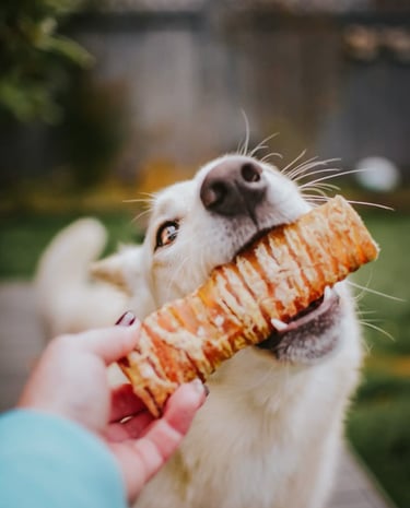 /dog-treats/trachea
