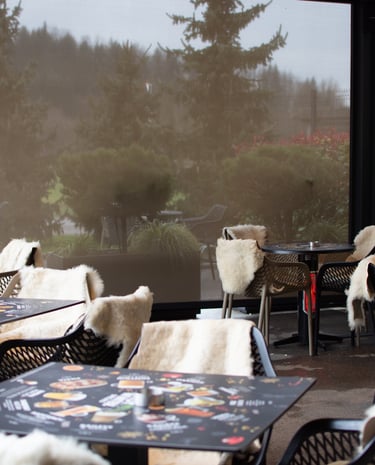 kavarna skandi domžale ambient