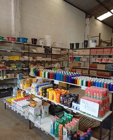 QuimicaTyS, sucursal de Rodriguez, varios productos de limpieza y artículos de limpieza de fabrica