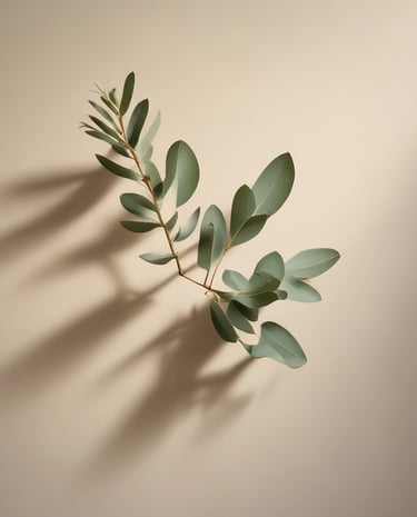 A calm corner with a sage green plant, cream textiles, and warm stone accents creating a peaceful nook.