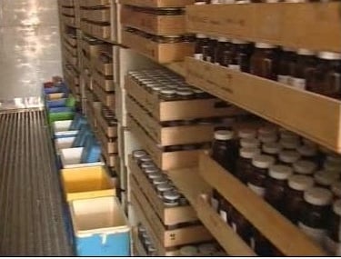 CJR AUDITS Ile de France stockage des échantillons de sol diagnostic pollution