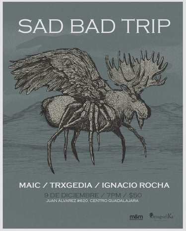Poster Sad Bad Trip
