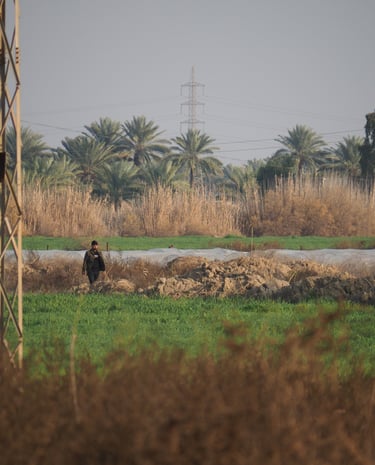 an Iraqi man waling in a green field with tall palm trees in the background