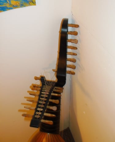 12 course lute pegbox