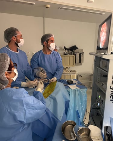 Neurocirurgião especialista em plexo braqueal e Nervos Periféricos 