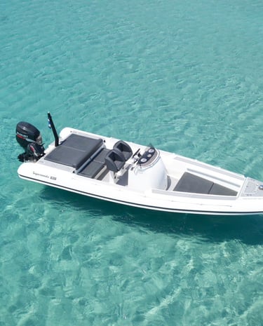 rib scorpios mykonos transfer