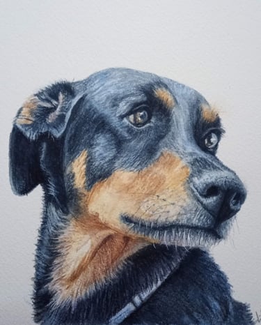 Pet Portrait painting
