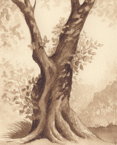 Walnut Ink drawing of tree