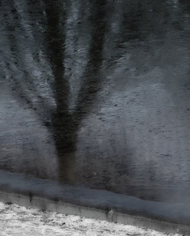 © juergen mack photography - moods