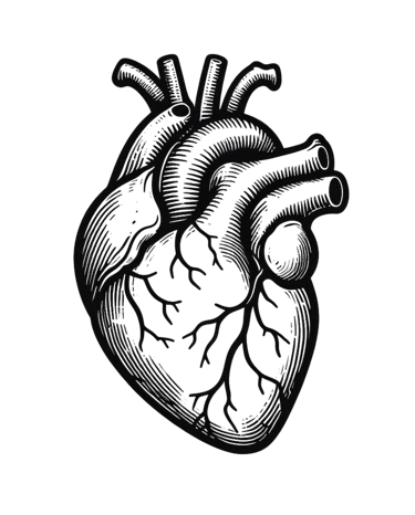 ambiguous loss learning to live with unresolved grief