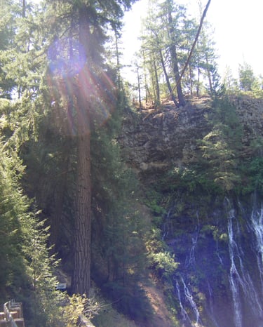 Awakened Stories orbs and entities