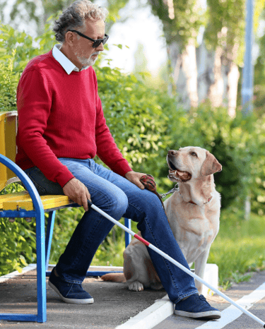 Man sitting on a park bench with his guide dog and cane, reflecting independence for the blind. he has glaucoma