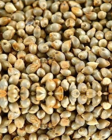 Whole Lentil