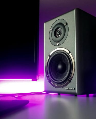 a speaker system with a monitor and a monitor