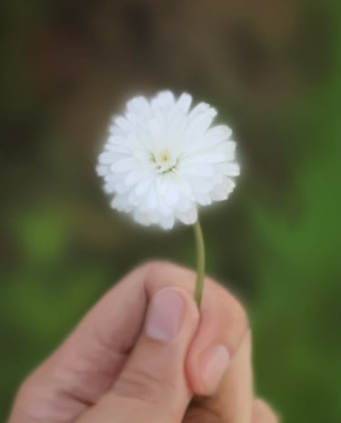 Little Things