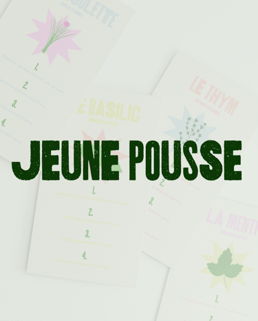 Jeune Pousse Illustration Direction Artistique Julianne Bouget graphiste freelance avec Panaco studio de design graphique 