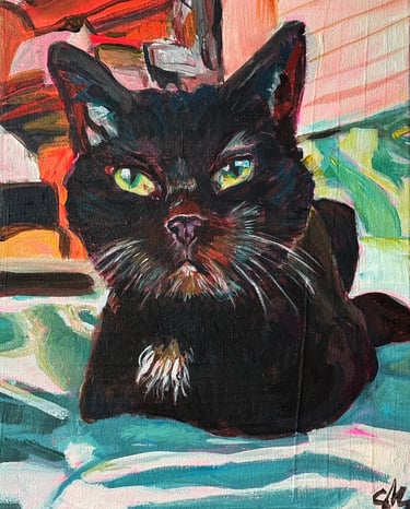 a black cat sitting on a bed with a blue and white blanket